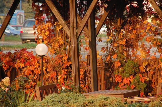 Koral Bed & Breakfast Koszalin Exterior photo
